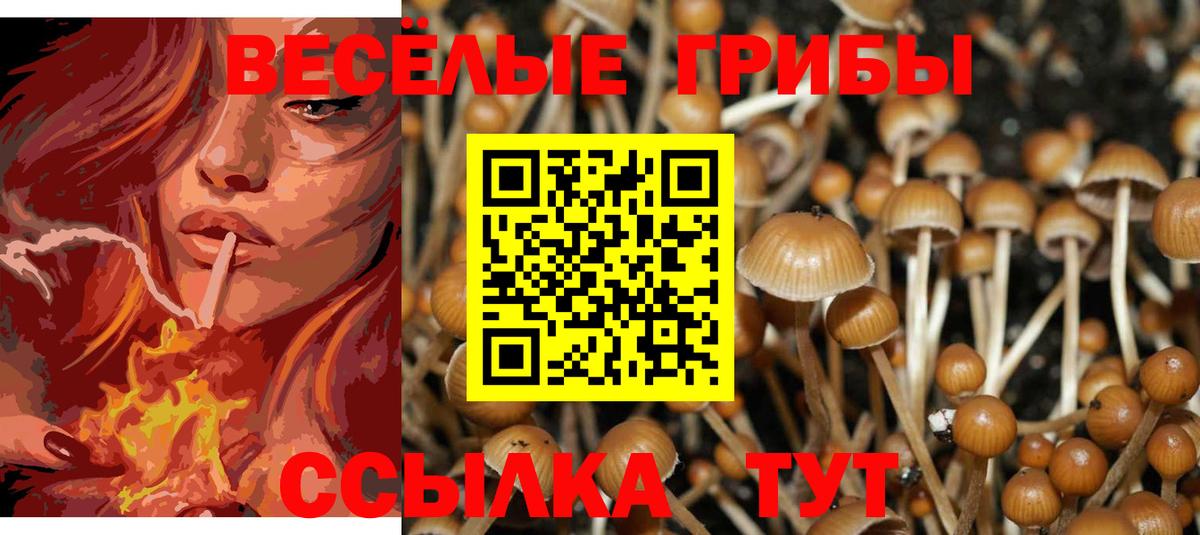 Псилоцибиновые грибы мицелий Оренбург